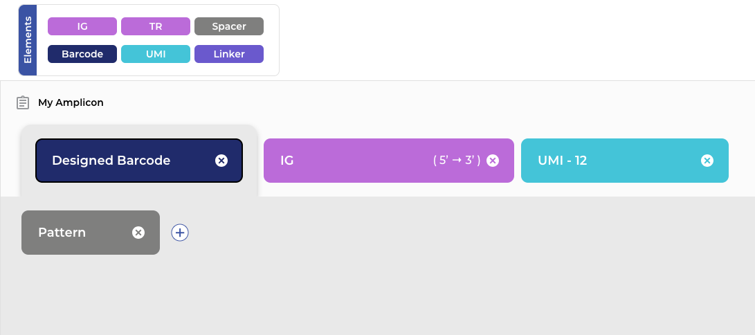 Amplicon builder annotating clones — CDRs, frameworks, barcodes, and UMIs.